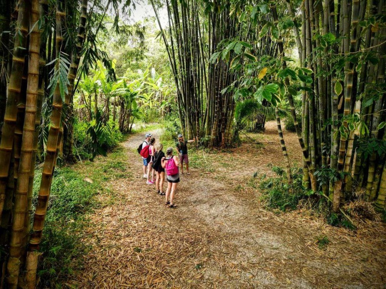 hike maui kayak snorkel waterfall hike combo the best guides