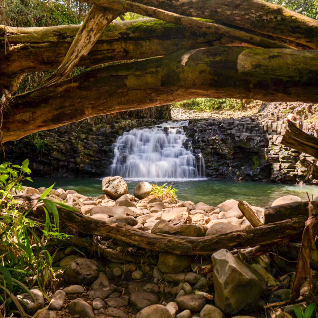 Hikemaui Maui Waterfall Rainforest Hike Beautiful Shot Waterfall