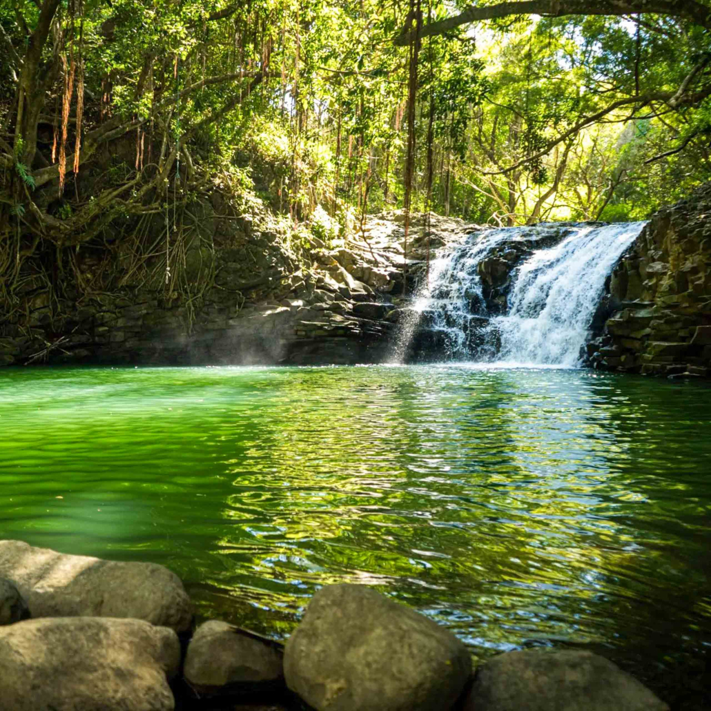 Hikemaui Maui Waterfall Rainforest Hike Waterfall Stream
