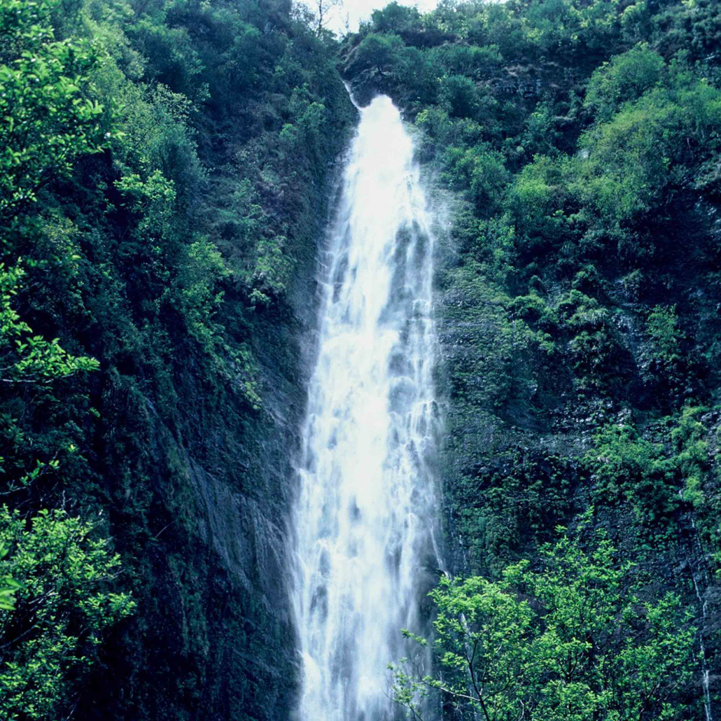 Hikemaui Maui Waterfall Rainforest Hike Waterfall View