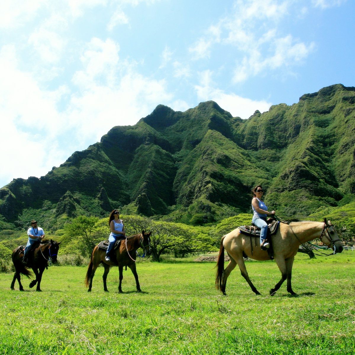 Horseback Riding In Oahu