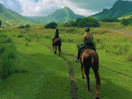 Kualoa Horseback Ride Jurassic Valley Riding Horse Friends