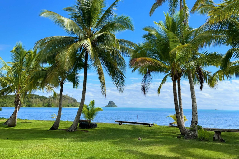 Kualoa Horseback Ride Jurassic Valley Stunning Views Beach