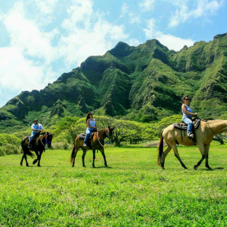 Kualoa Ranch Tour Horses Oahu Product
