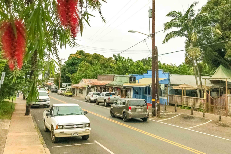 Makawao Town View And Ohia Tree Maui Feature