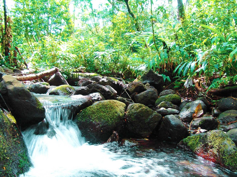 oahu waterfall hike and bike downhill tour bike hawaii oahu island