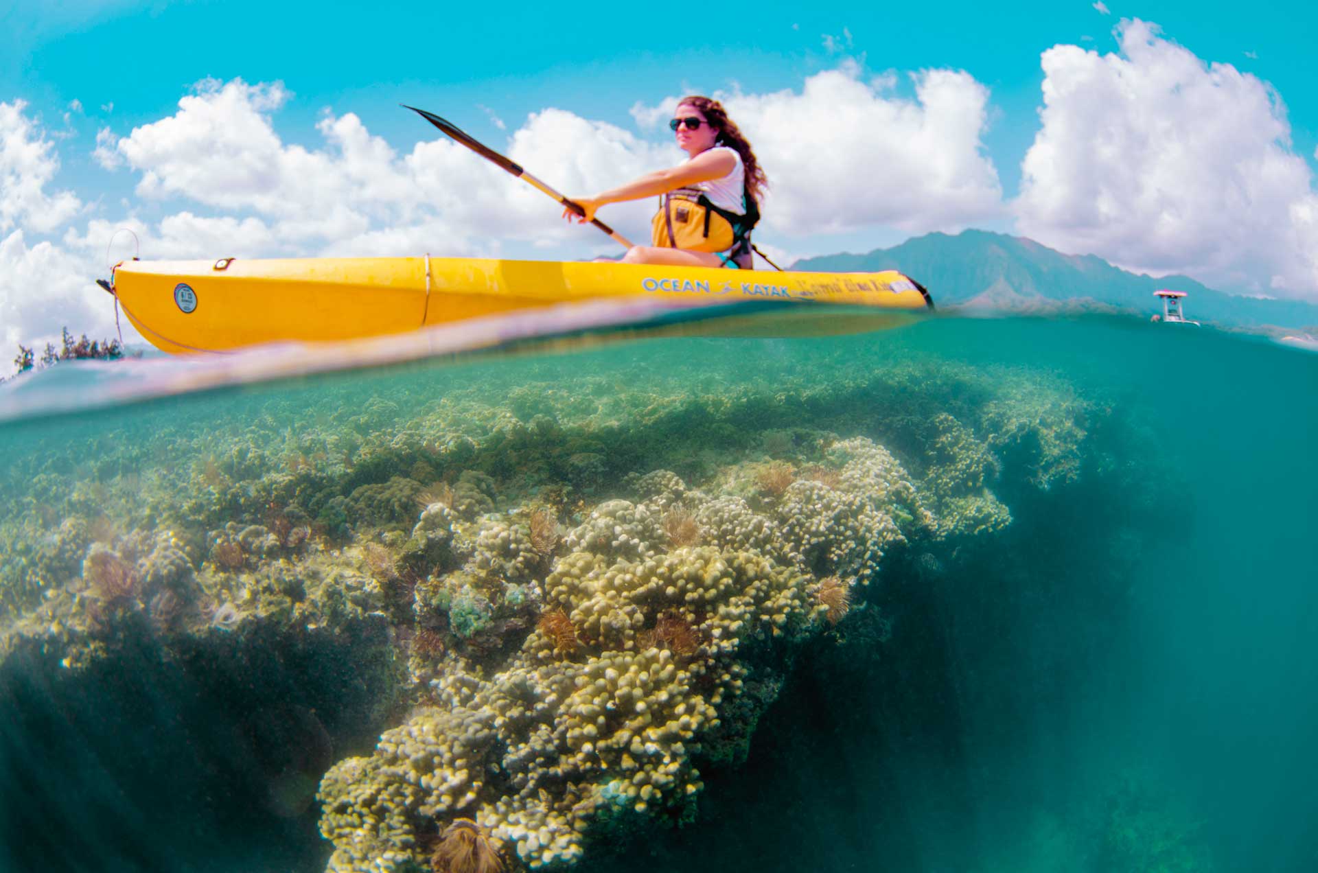 Kayak Rentals Hawaii Tours and Activities