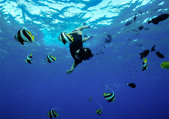 Quicksilver Island Of Lanai Snorkel Adventure Slider Ocean