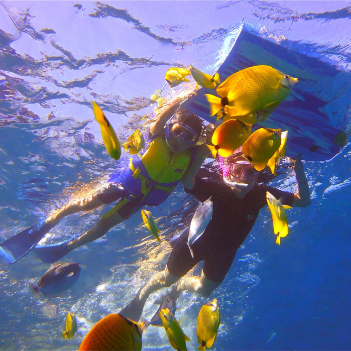 Island of Lanai Snorkel Adventure Hawaii Tours and Activities