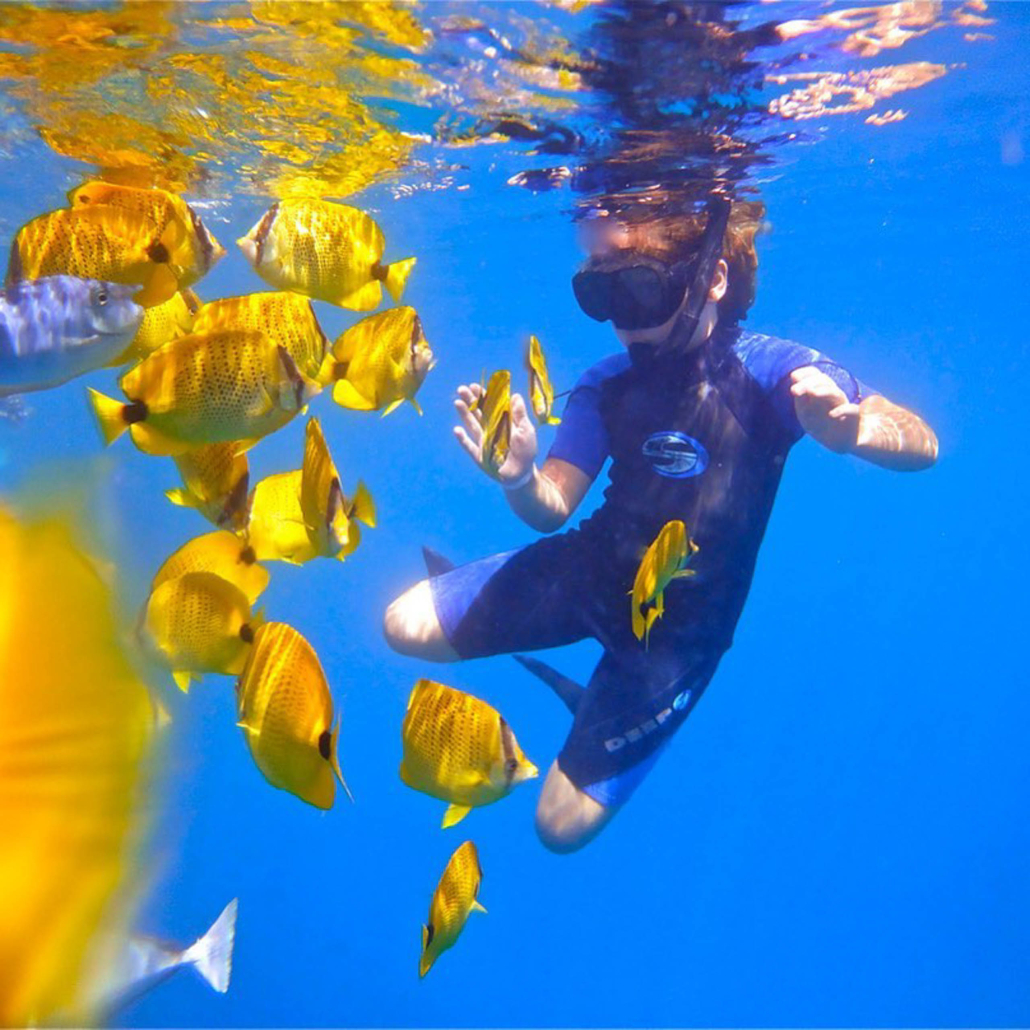 Quicksilvermaui Island Of Lanai Snorkel Adventure Kid Snorkel With Fish Slide