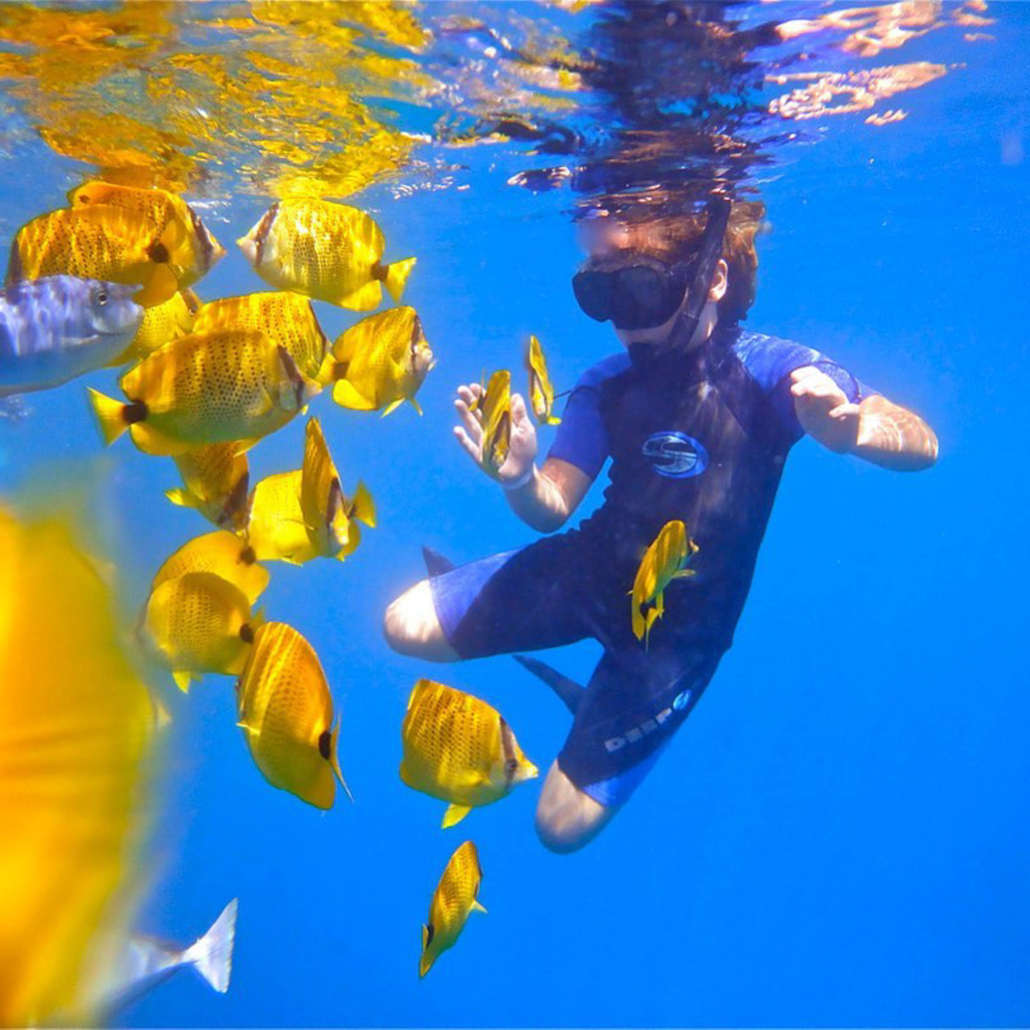 Island of Lanai Snorkel Adventure Hawaii Tours and Activities