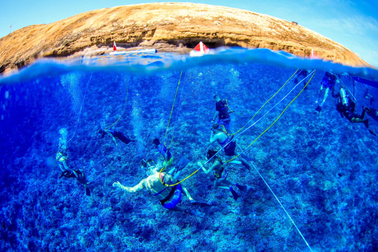 Sailtrilogy Discover Lanai Snorkel Cruise Snuba Mordern
