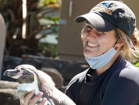 Sealifeparkhawaii Penguine