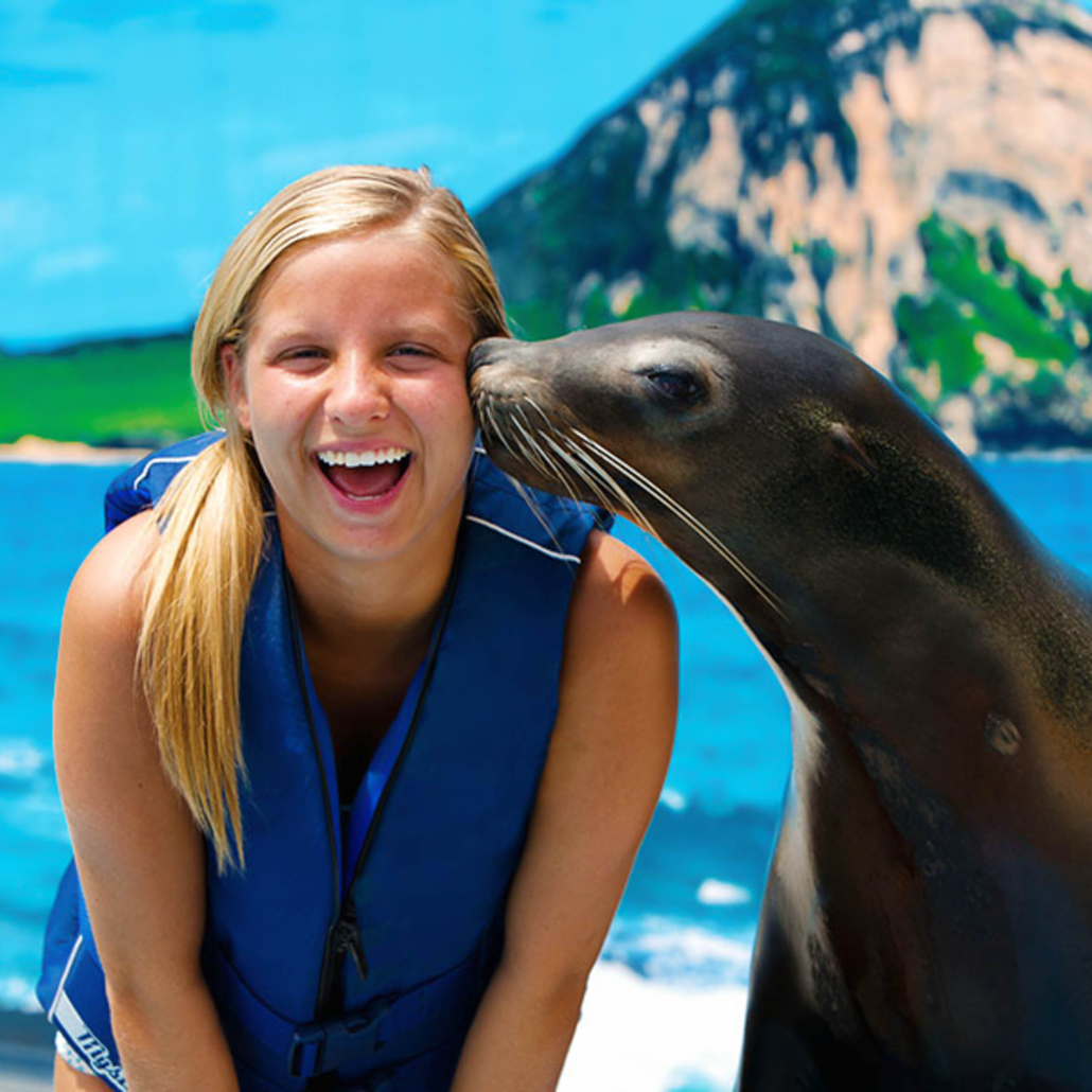Sealifeparkhawaii Sea Lion Encounter Kissing
