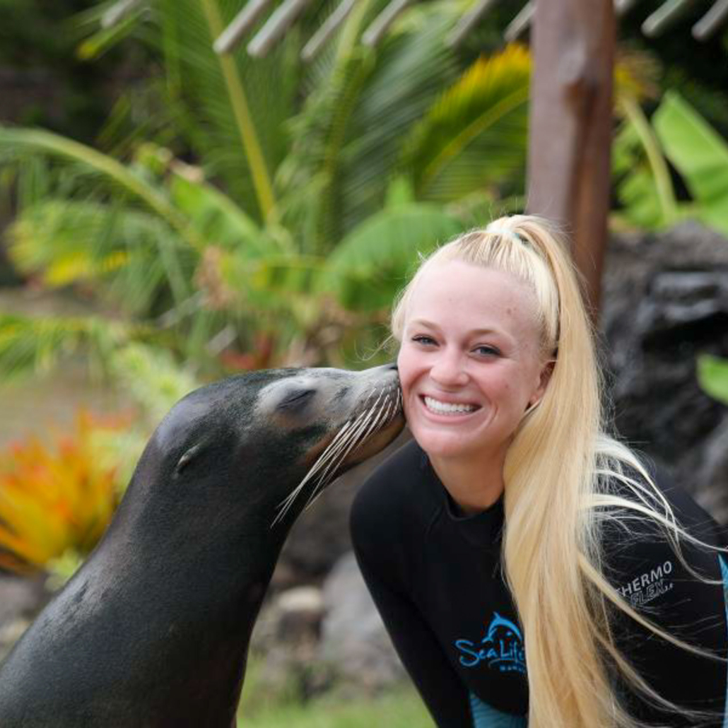 Sealifeparkhawaii Sea Lion Encounter Kissing A Girl