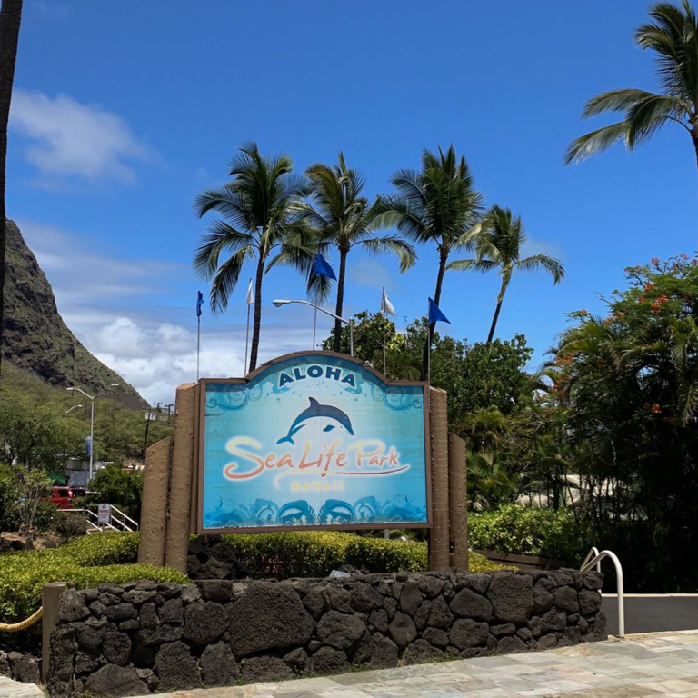 Sealifeparkhawaii Welcome Board