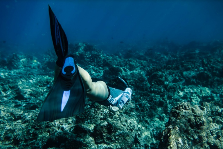 snorkel big island body glove hawaii