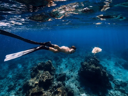 snorkeling tours on oahu off waikiki