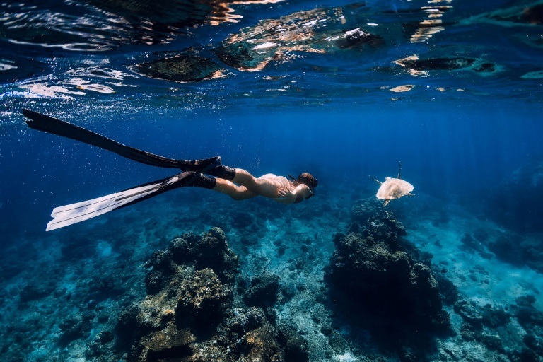 snorkeling tours on oahu off waikiki