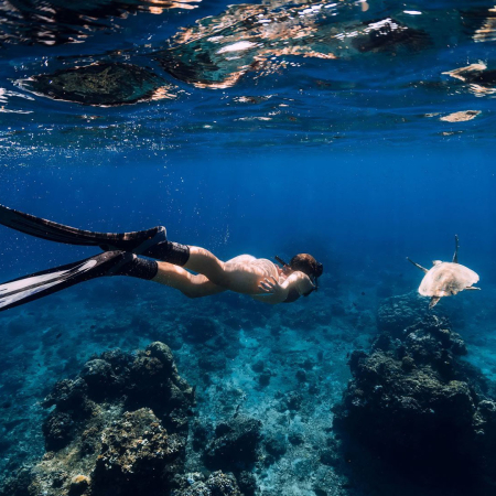 Snorkeling Tours On Oahu Off Waikiki Product