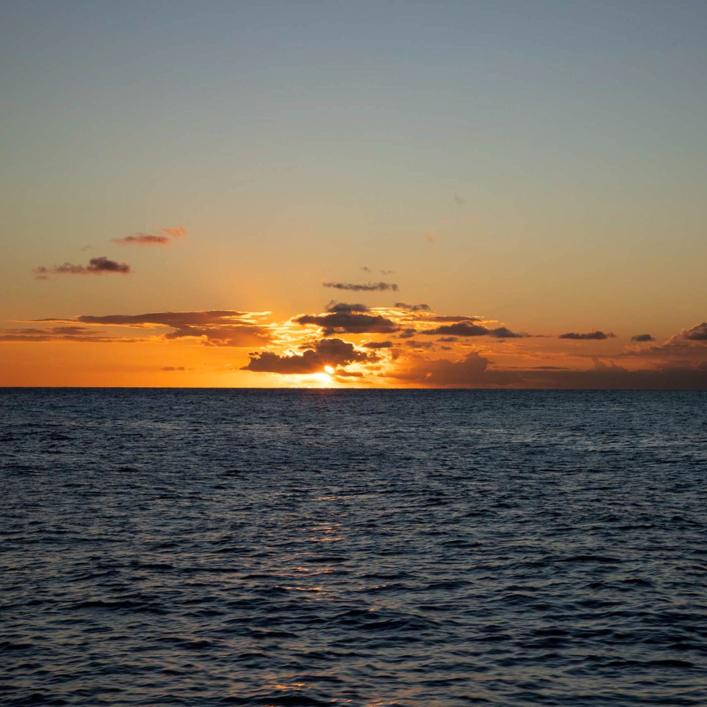 Star Of Honolulu Sunset