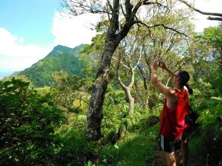 take a trip through the rainforest on this hiking adventure that goes for about five miles