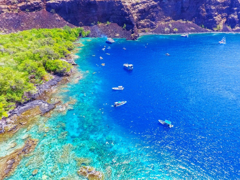 the most popular and beautiful spot in all of hawaii dolphin discoveries