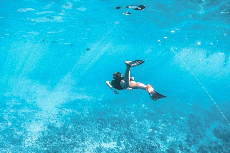 Trilogyexcursions Kaanapali Snorkel Tour Feature Develop A New Hobby