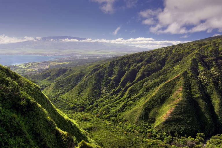Tropical Rainforest View West Maui And Molokai Helicopter Tour