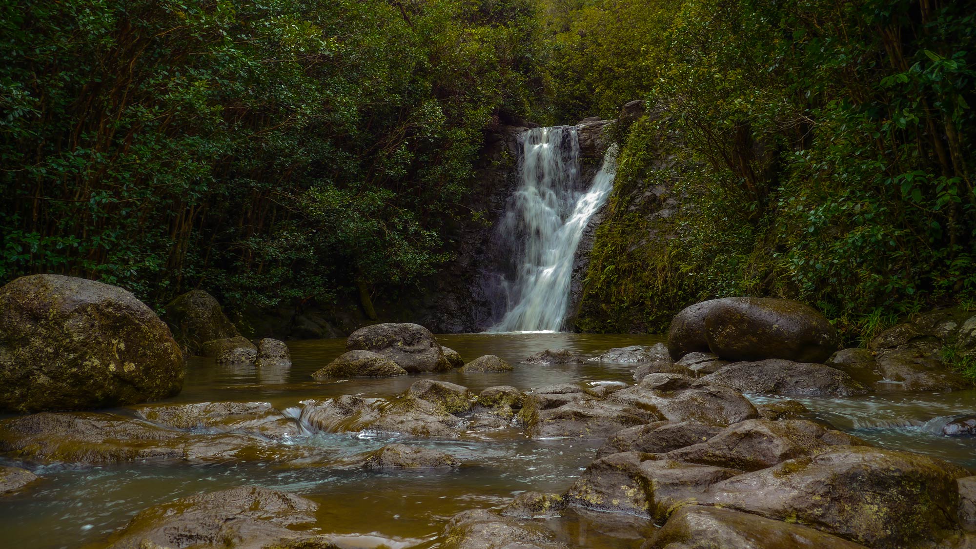 Tropical Rainforest Waterfall Hawaii Oahu