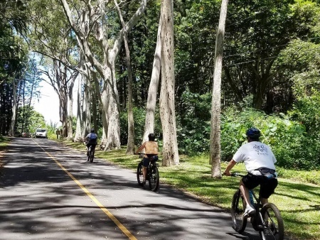 uphill bike ride bike hawaii