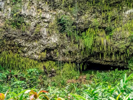 Fern Grotto Waimea River Kauai