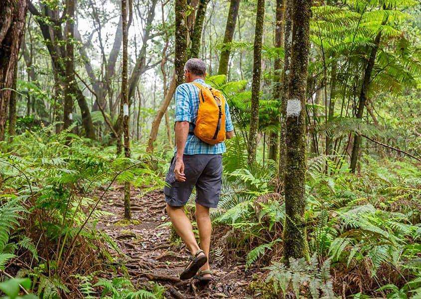 Hawaii Rainforest Hiker shutterstock