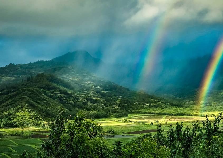 Kauai Taro Fields Rainbow Lanscape Beautiful