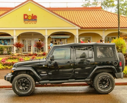 private jeep tour dole plantation