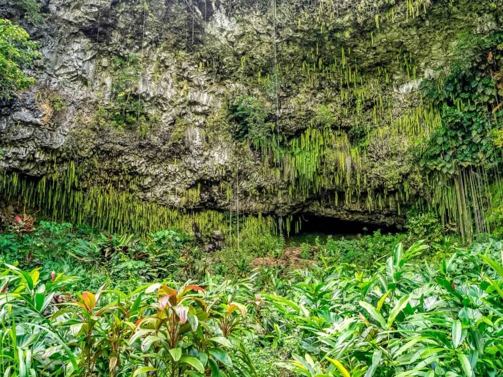Fern Grotto Waimea River Kauai shutterstock