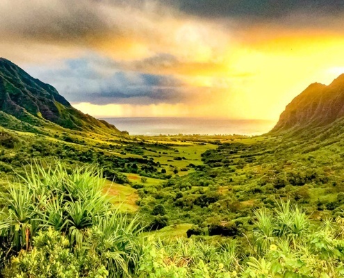 Sunrise saddle Kaaawa Oahu Kualoa Ranch photo