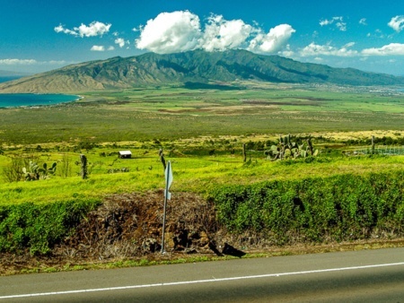 Upcountry Kula Rice Park West Maui Mountains