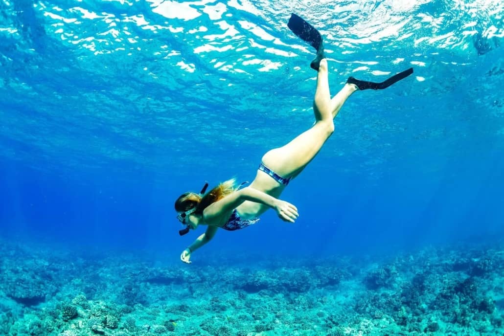 Snorkeler Underwater Girl Visitor Reef Ocean