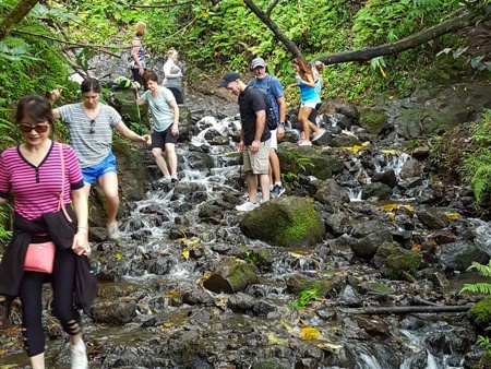 Bikehawaii Koolau Waterfall Hike Tourists