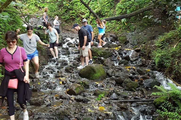 Bikehawaii Koolau Waterfall Hike Tourists