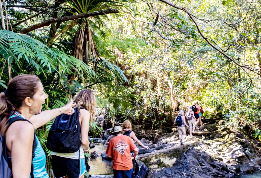 hike maui short waterfalls walk fun easy and great tour
