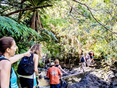 hike maui short waterfalls walk fun easy and great tour