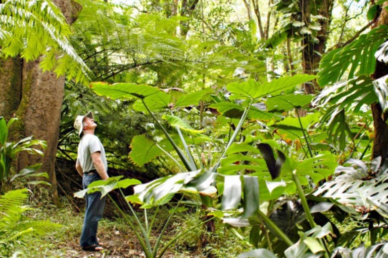 Hikemaui Short Waterfalls Walk Feature Creat Memories Man