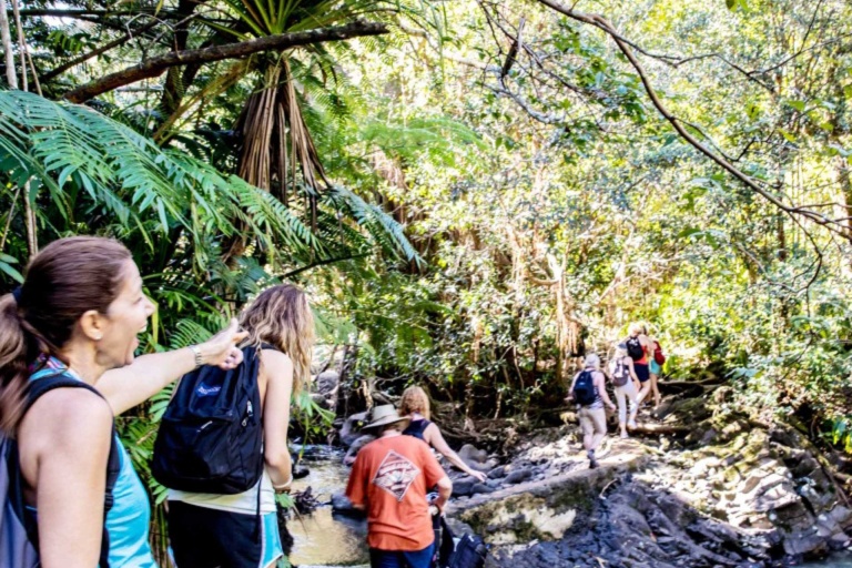 Hikemaui Short Waterfalls Walk Feature Good For The Whole Family Forest