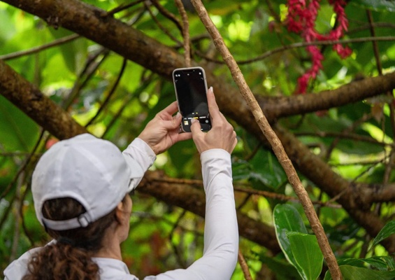 Hikemaui Short Waterfalls Walk Slider Girl Taking Photo