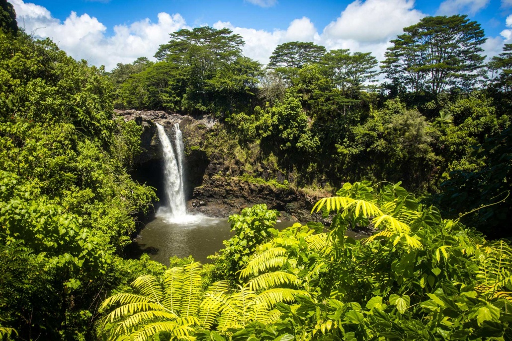 one of the island of hawaiis most famous and most beautiful waterfalls akaka falls