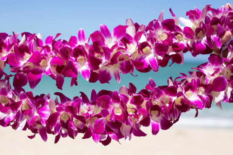Diamondheadbeachluau Diamond Head Food Festival Luau Flower Lei