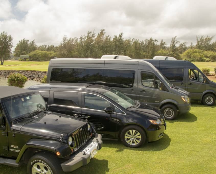 hawaii tours fleet