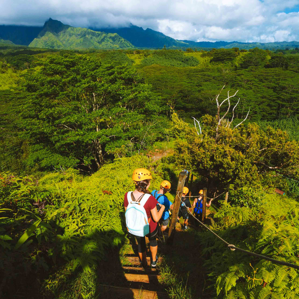 Kauai Lihue Zipline A Truly Unique Zipline Experience Kauai Backcountry Adventures